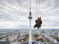 HighSwing